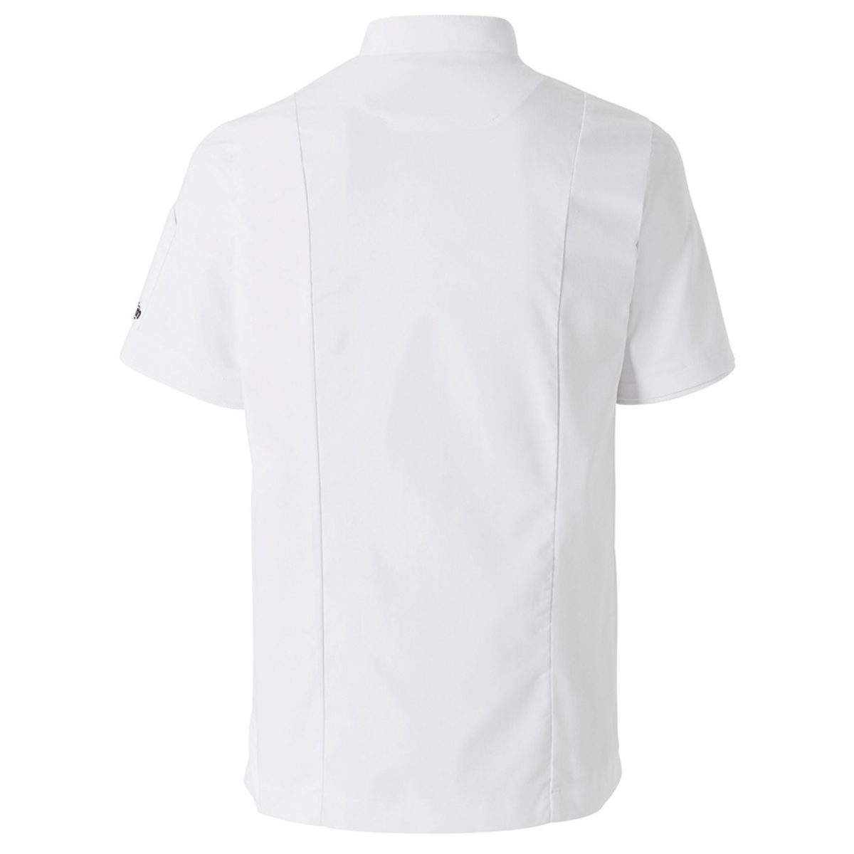 VESTE CUISINE DAVIS BLANC MANCHE COURTES MOLINEL